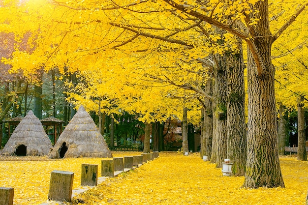 Photo yellow trees in cemetery during autumn