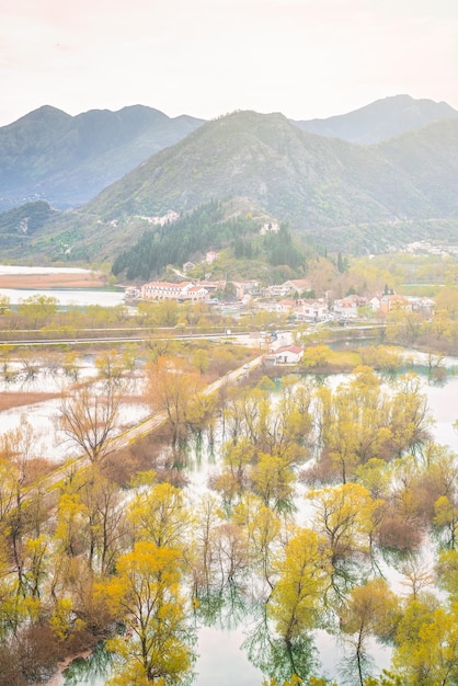 Yellow trees reflected in Skadar Lake