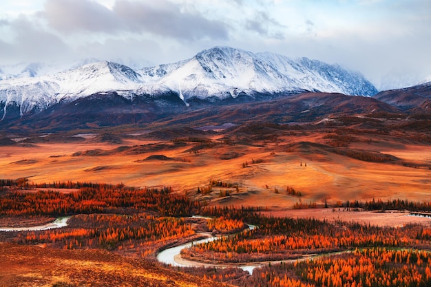 Yellow trees and snow-covered mountain peaks. Kurai steppe and view of North-Chuya mountain ridge in Altai, Siberia, Russia. Beautiful autumn landscape