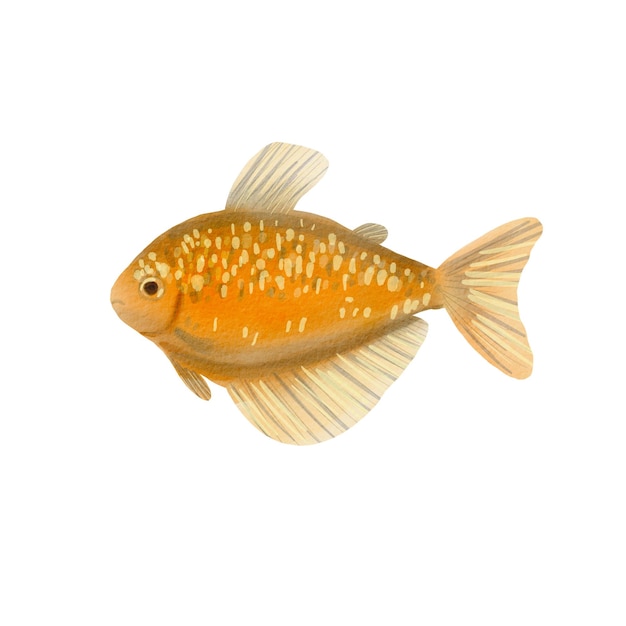Фото Желтая тропическая рыба на белом фоне акварельная иллюстрация подводной рыбы аквариум экзотических животных подходит для оформления открыток, плакатов, упаковки