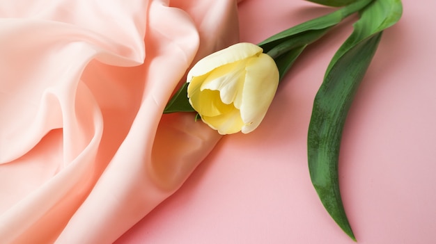 Yellow tulip flower laying flat on pink background with silk light pink fabric