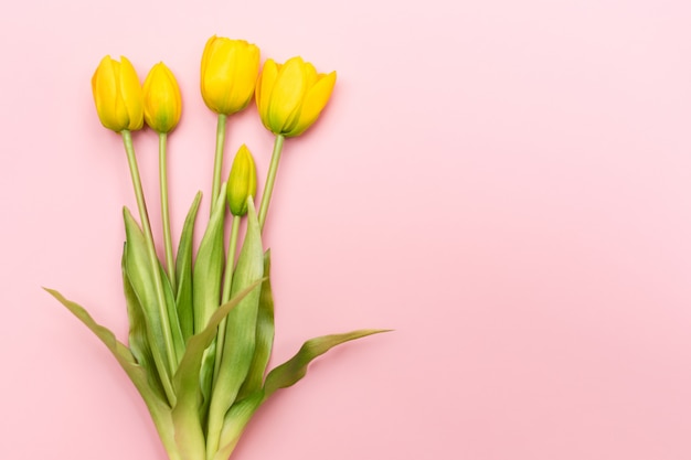 Yellow tulip flowers bouquet on pink background. Flat lay, top view