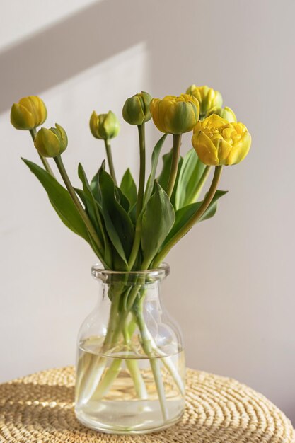 明るい影の白い壁と窓の背景にガラスの花瓶に緑の茎と葉を持つ黄色のチューリップの花創造的な花の植物学の壁紙最小限の創造的なグリーティングカード