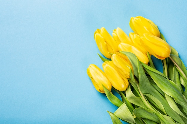 Yellow tulips background