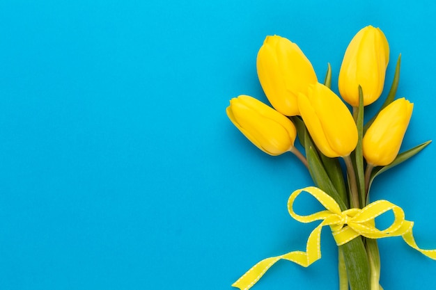 Yellow tulips on blue background Spring greeting card Top view Copy space