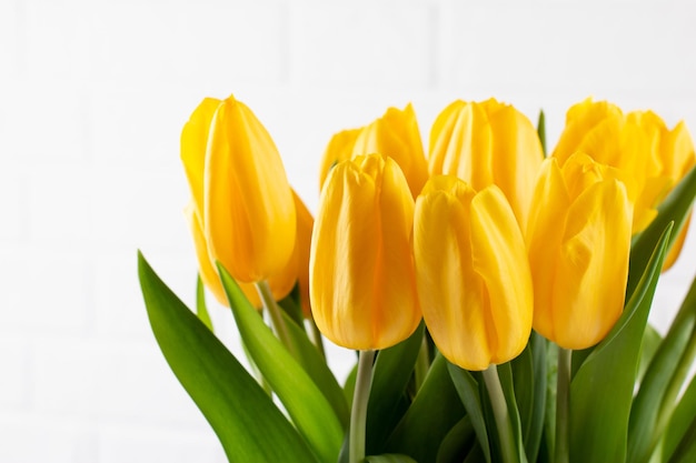 Yellow tulips flowers bouquet on a white background. Happy Easter. Valentine's day. Birthday celebration. Mother's Day. March 8. Copy space