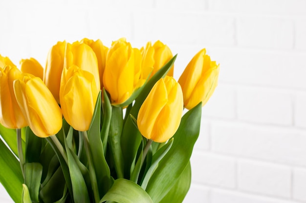 Yellow tulips flowers bouquet on a white background Happy Easter Valentines day Birthday celebration Mothers Day March 8 Copy space