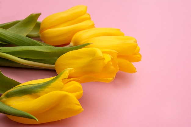Yellow tulips flowers on a pink background. Waiting for spring. Happy Easter card. Flat lay, top view. Copy space for text