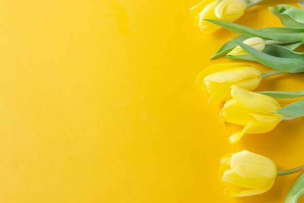 Yellow tulips flowers on yellow backgroundMothers Day Birthday Valentines Day Concept of holiday Symbol of spring Flat lay top view copy space