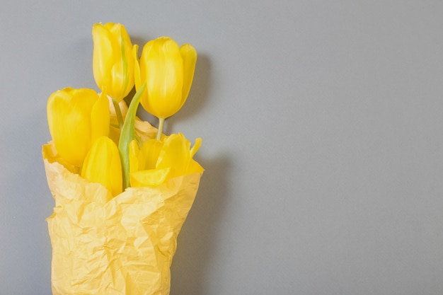 Yellow tulips on gray background,  color of 2021
