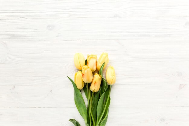 Yellow tulips isolated on a white wooden background lay flat top view