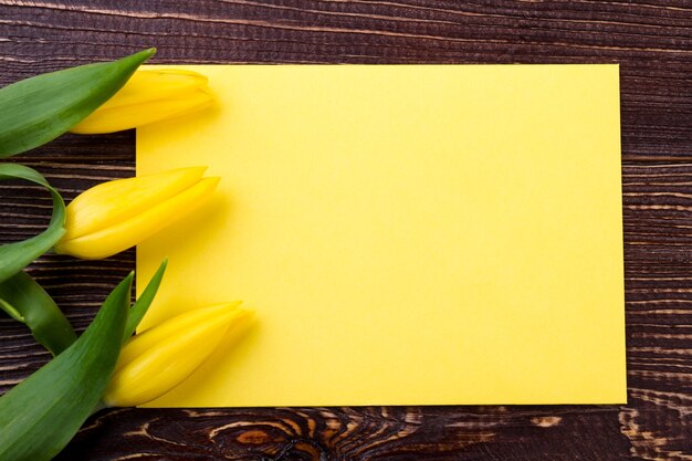 Yellow tulips near blank paper. Blooms and piece of paper. Space for creativity. Popular greeting items.