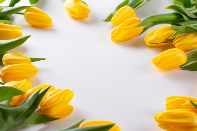 노란색 튤립 봄 꽃은 흰색 배경에 격리되어 축하 복사 공간의 개념입니다.