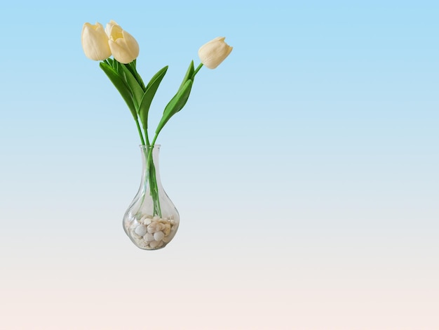 Yellow tulips in vase on isolated blue white background