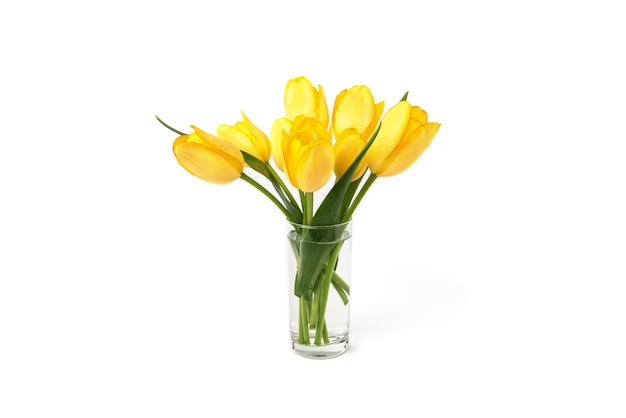 Yellow tulips in vase isolated on white background.