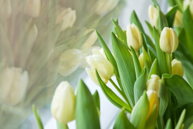 Yellow tulips on the windowsill