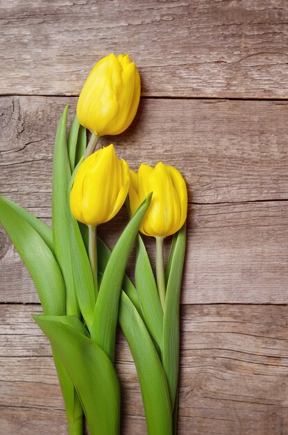 Yellow tulips on wooden background.