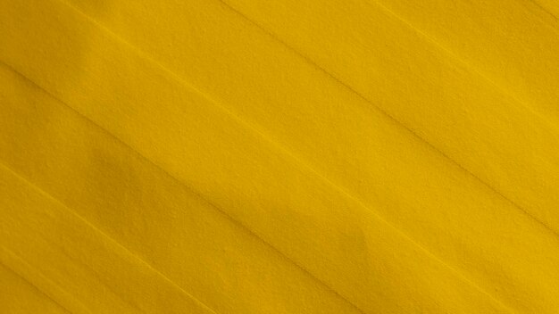 Yellow velvet fabric texture used as background empty yellow fabric background of soft and smooth textile material there is space for text