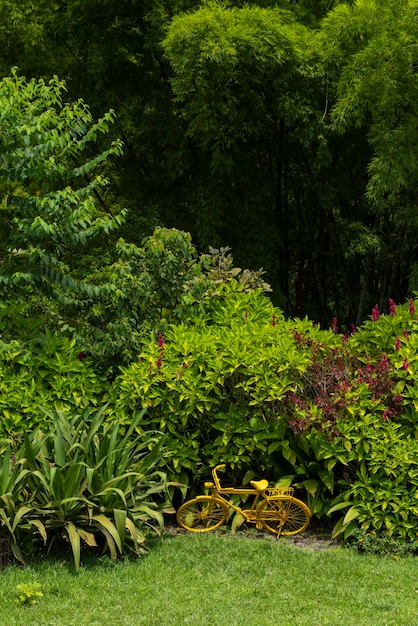 Yellow vintage bicycle in tropical garden