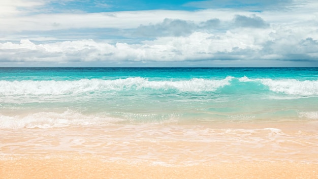 黄色い暖かい砂と空と自由空間のある夏の海