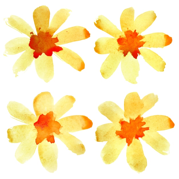 Yellow watercolor flowers isolated over the white background