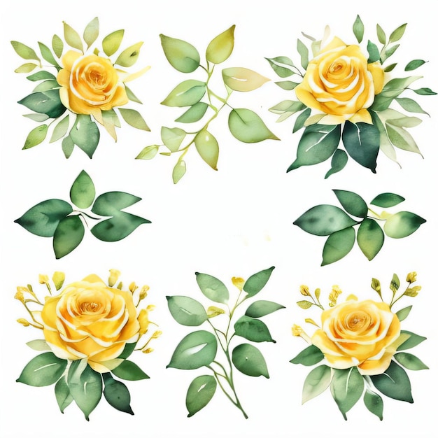 Photo yellow watercolor roses clipart