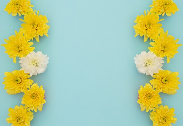 Yellow and white flowers on blue background