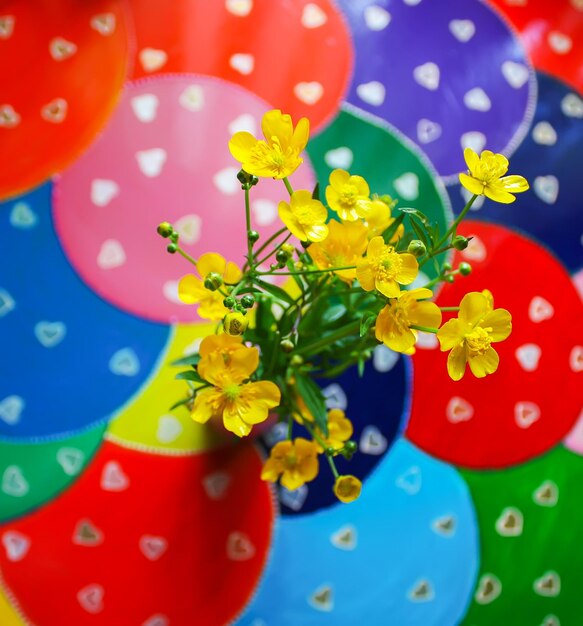 Фото Желтые дикие цветы ranunculus на ярко окрашенном фоне.