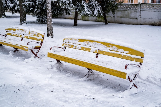 Желтые деревянные скамейки в парке, покрытые снегом
