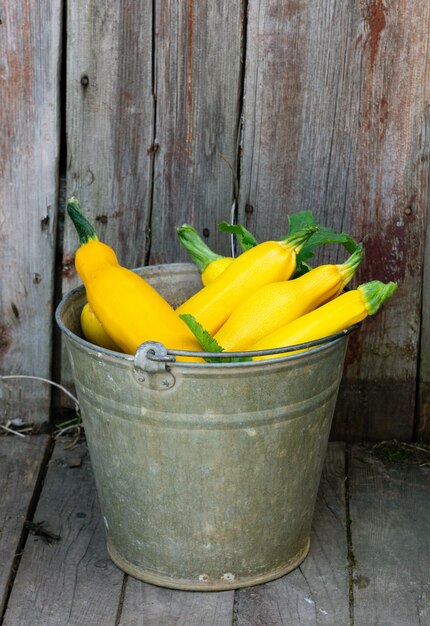 Zucchine gialle nel secchio sulla tavola di legno.