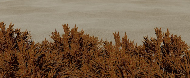 Yellowed bushes in desert background