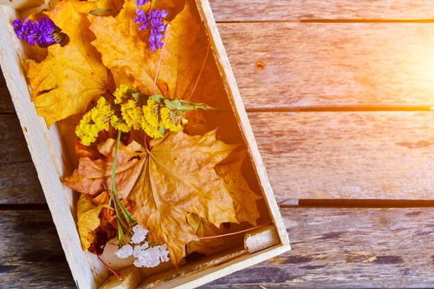 Yellowed maple foliage and dried wildflowers in wooden box on wooden boards