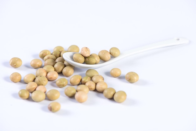 Photo yellowgreen taiwanese organic nongmo soybeans soy beans in a container isolated on white backgorund close up clipping path