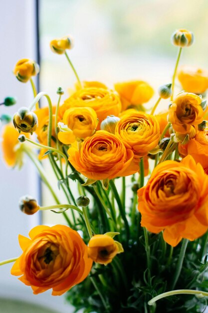 Yelloworange flowers in bloom photo