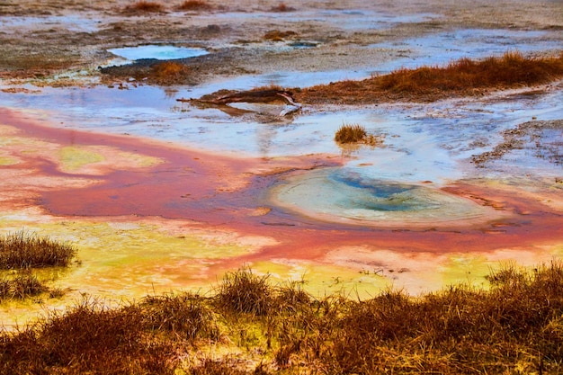 Yellowstone alkalische wateren van kleurrijke poelen in de winter