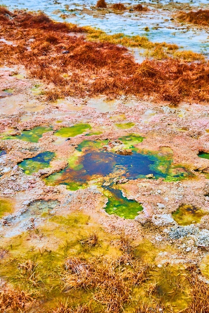 Foto dettaglio in pietra gialla di colorate pozze d'acqua