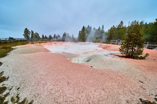 Yellowstone fountain paint pot pools