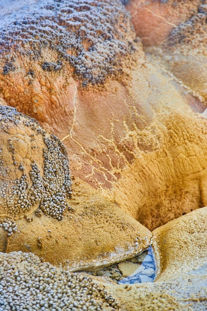 Yellowstone geyser detail of alkaline formations