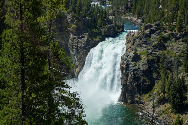 Yellowstone National Park, Wyoming, het belangrijkste park in de VS.