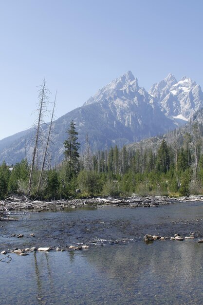 Yellowstone national park in Wyoming USA