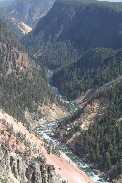 Yellowstone national park in Wyoming USA