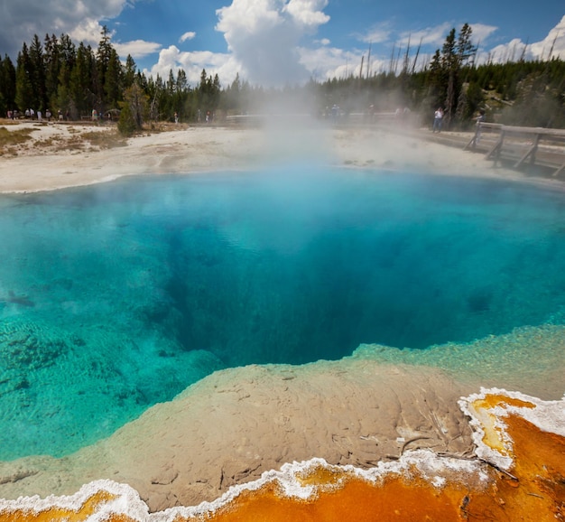 Yellowstone Park