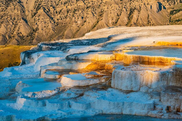 Yellowstone