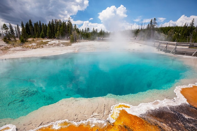 Yellowstone