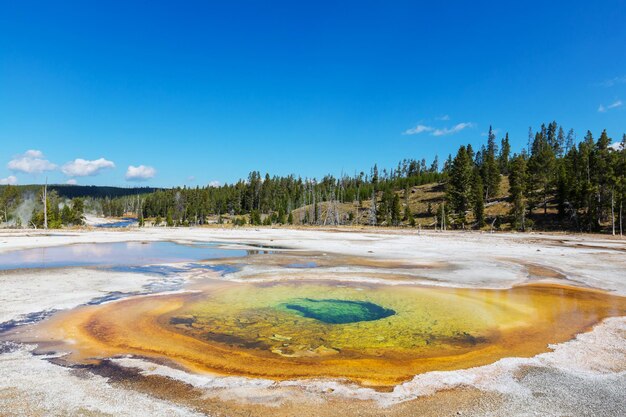 Yellowstone