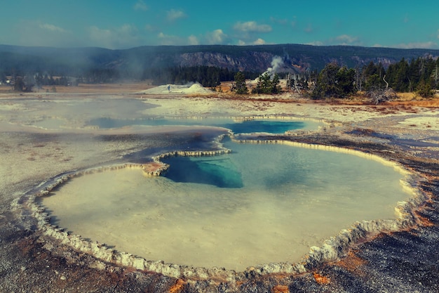 Yellowstone