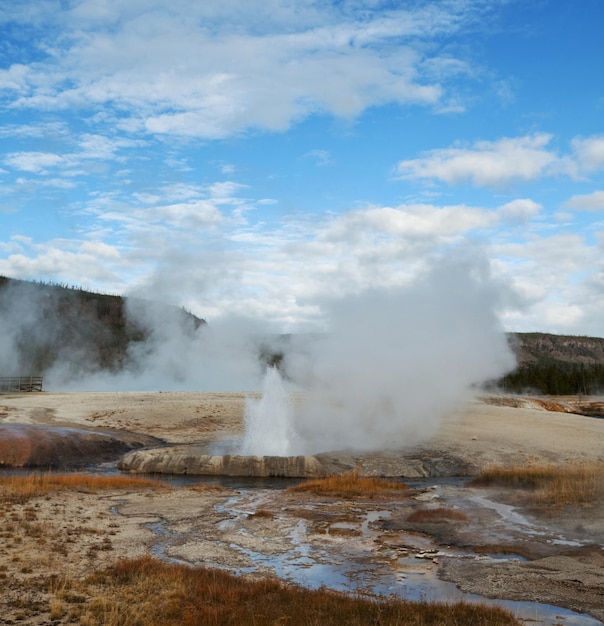 Foto yellowstone