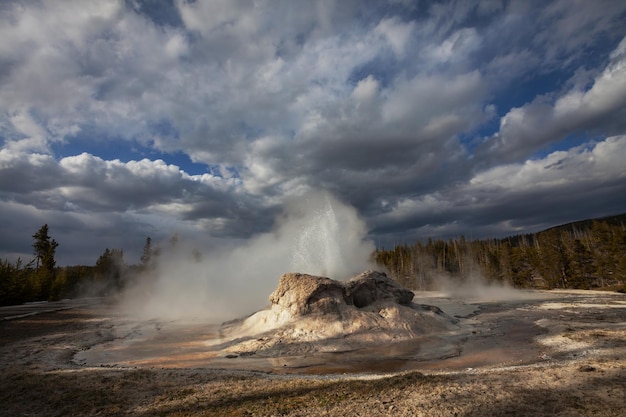 Yellowstone