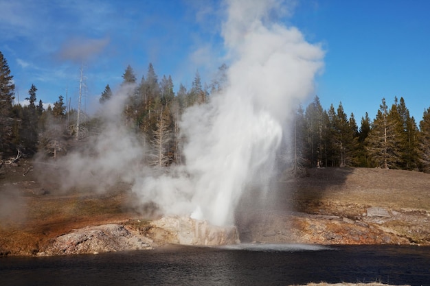 Yellowstone