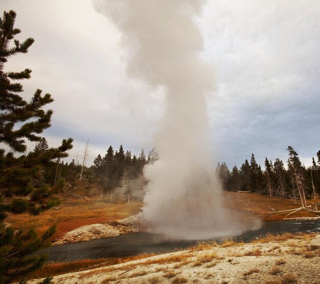 Photo yellowstone